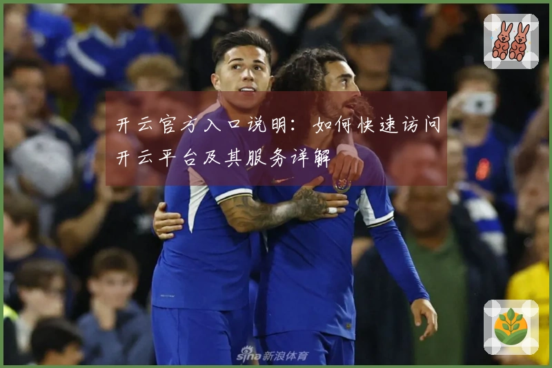 开云官方入口说明:如何快速访问开云平台及其服务详解